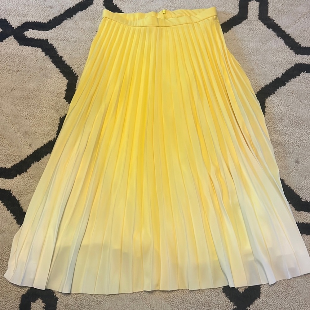 Zara Skirt